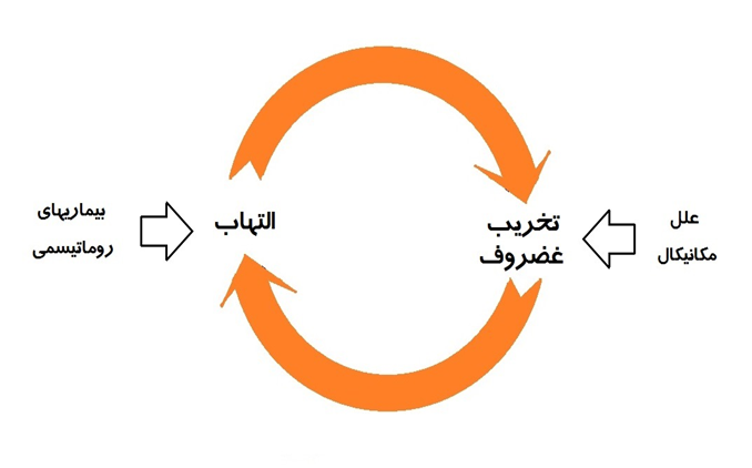 چرخه معیوب التهاب و فشار مکانیکال