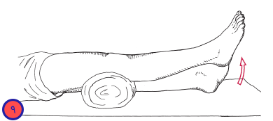 terminal Knee Extension Exercise  